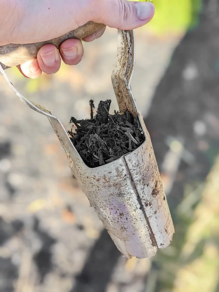 bulb planting tool full of dirt