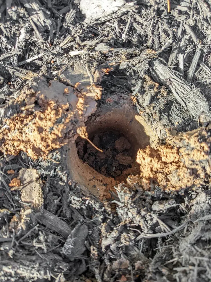 hole in the ground for a bulb