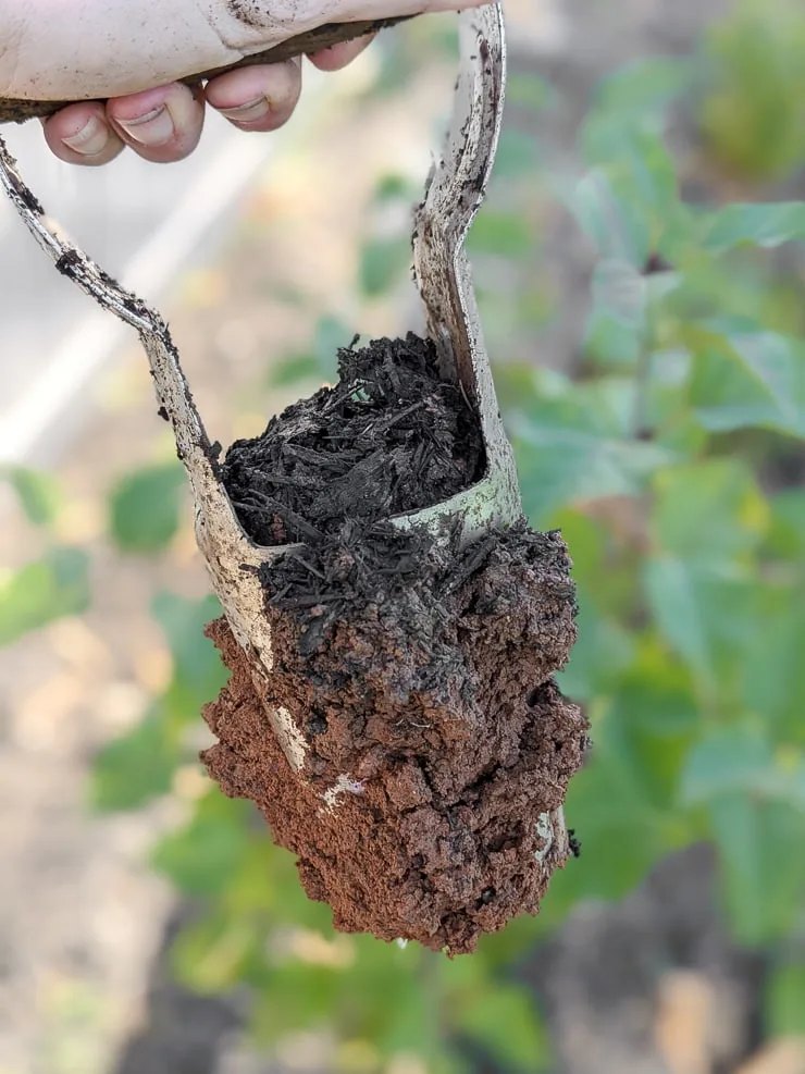 bulb planting tool to dig dirt