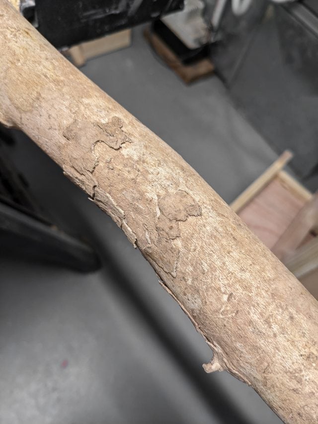 See how I made a DIY tree branch plant hanger!