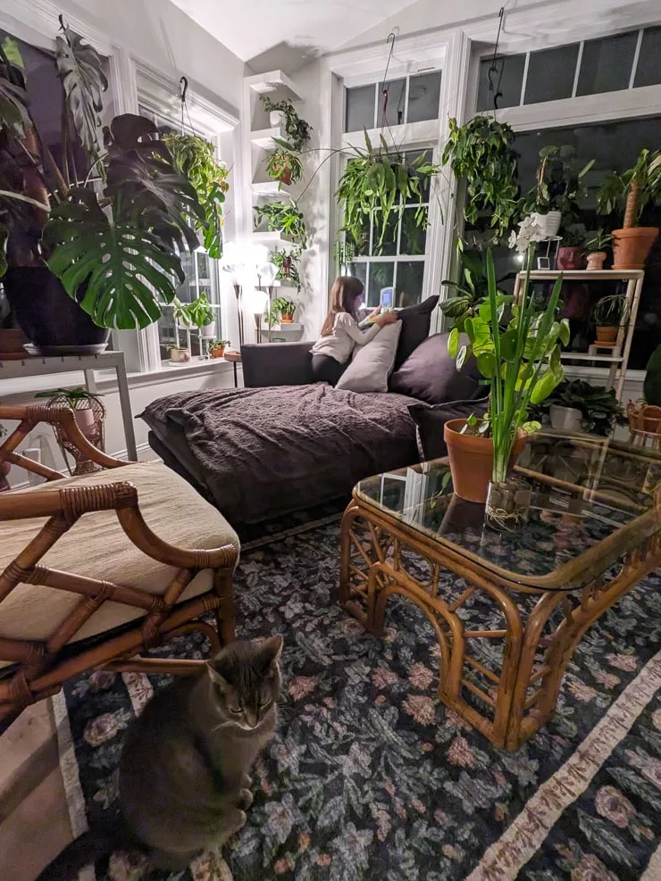 Joybird Denna single arm chaise in a sunroom