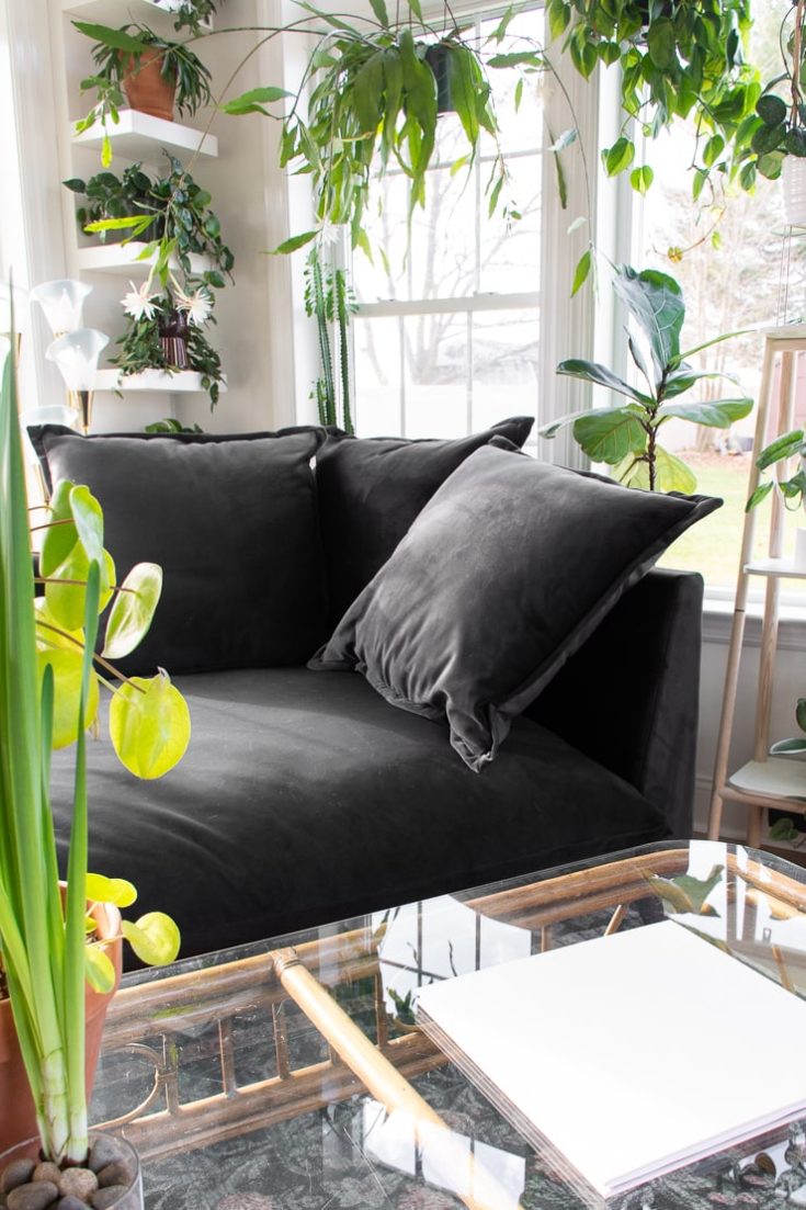 I bought my own Joybird sofa, and here's my honest review!