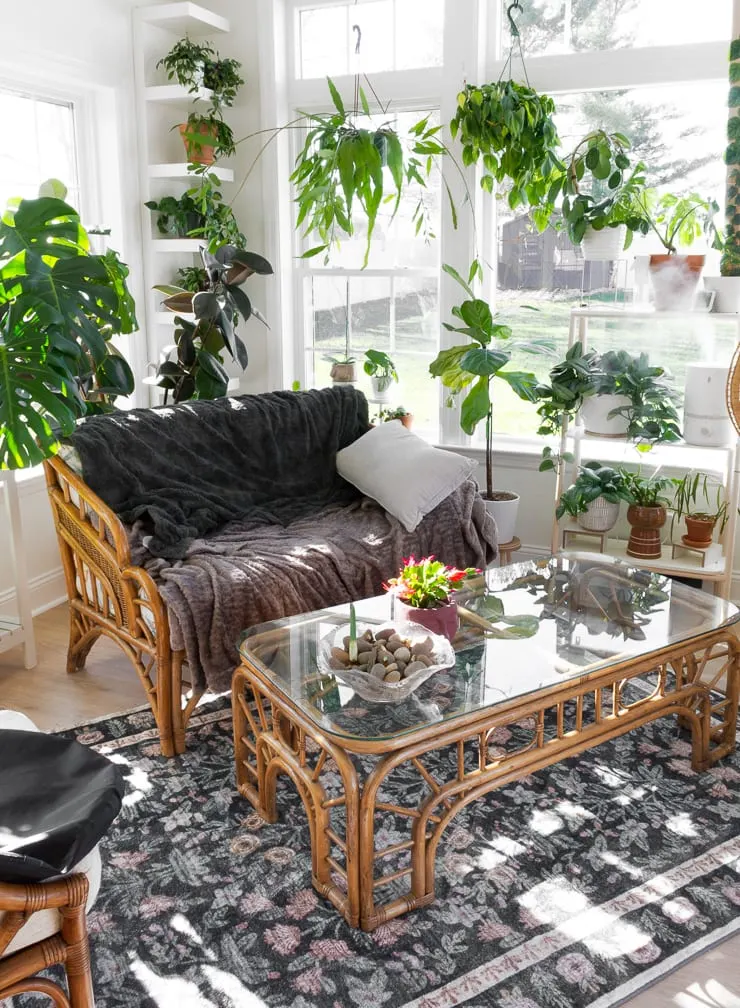 rattan estate sale furniture in a sunroom