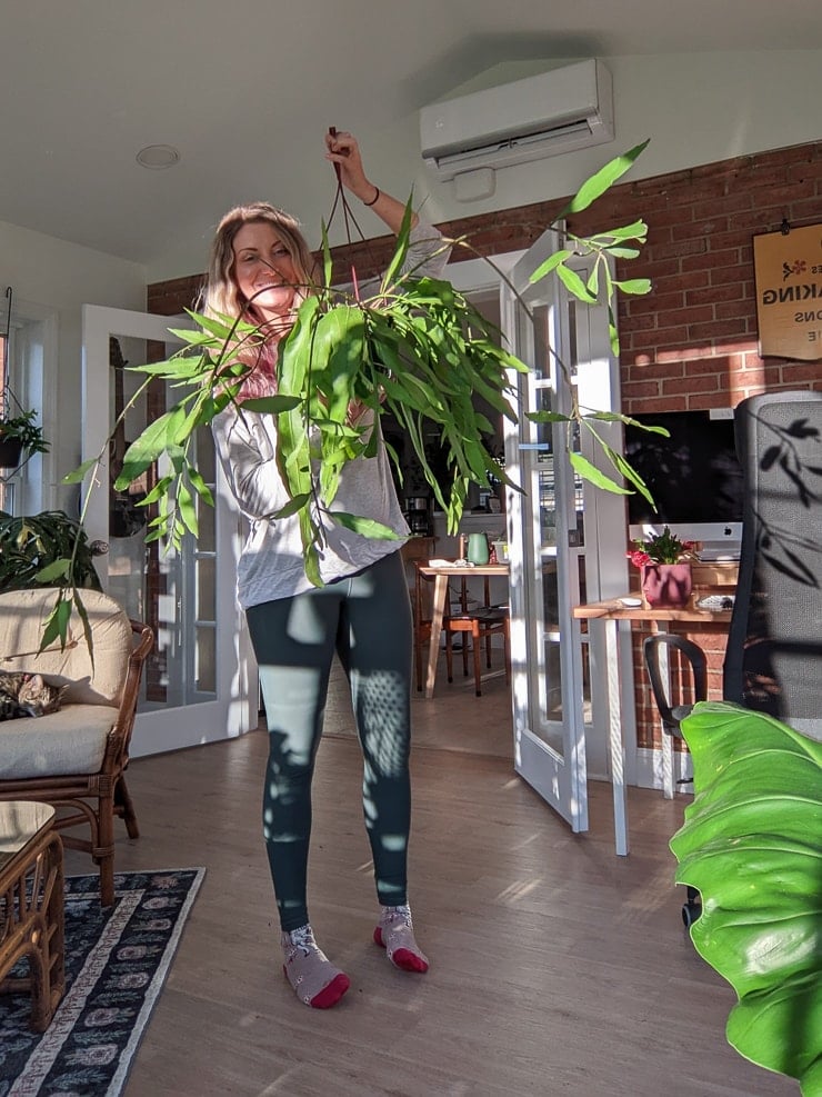 woman holding a large queen of the night epiphyllum oxypetalum