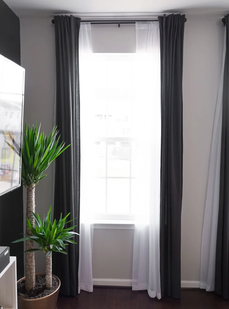 spineless yucca plant in a living room