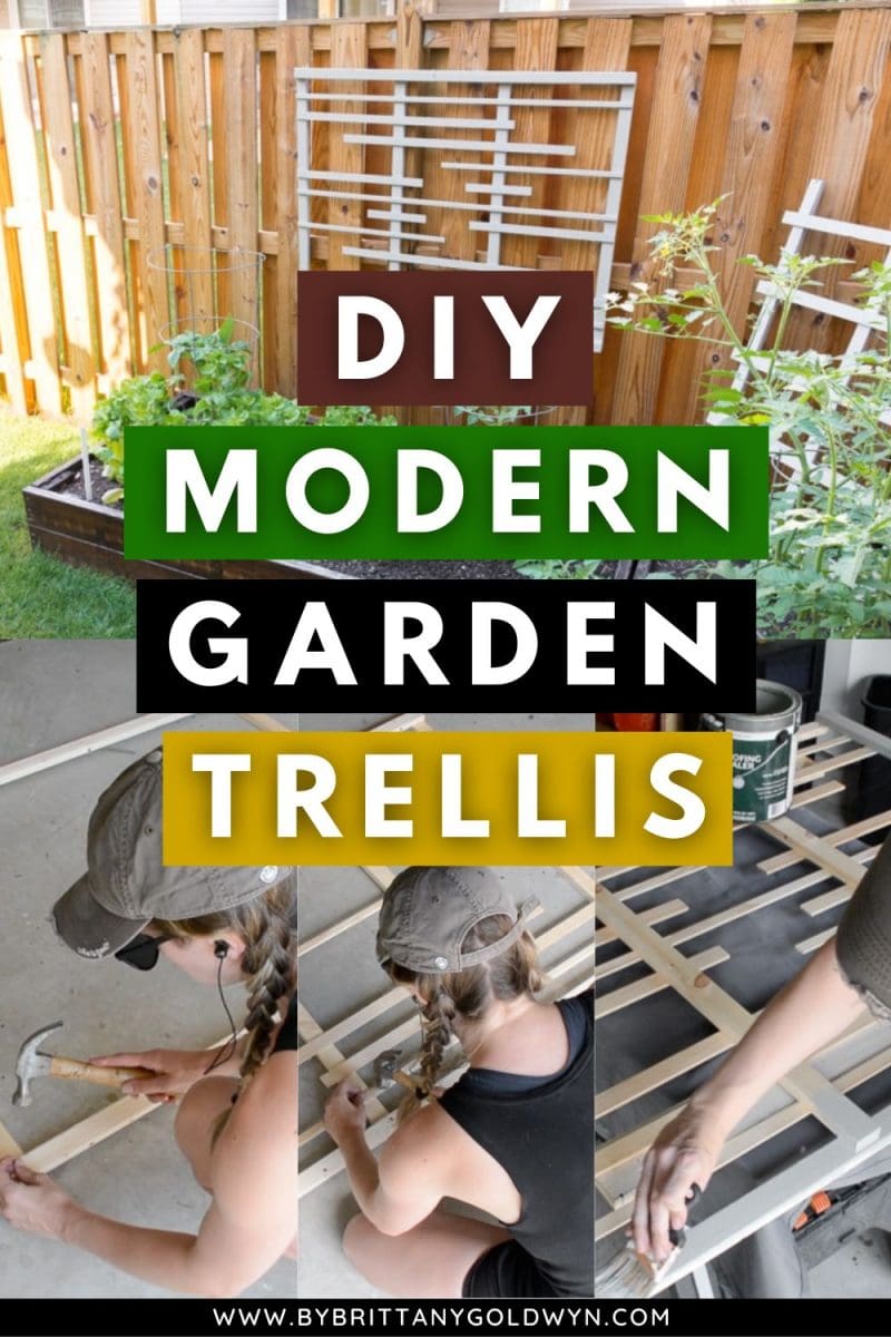 Learn how to build a trellis for vines with my DIY trellis tutorial!