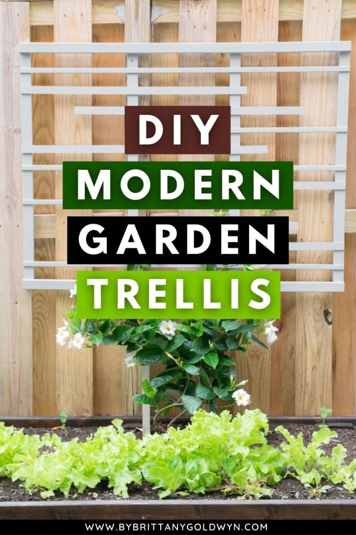 Learn how to build a trellis for vines with my DIY trellis tutorial!