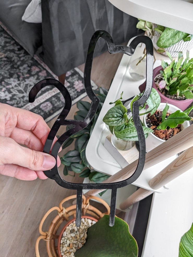 acrylic black cat houseplant trellis