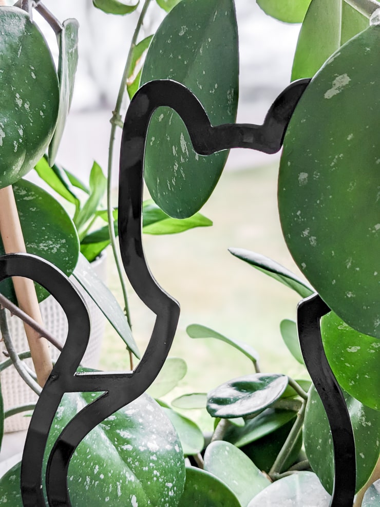 acrylic black cat houseplant trellis