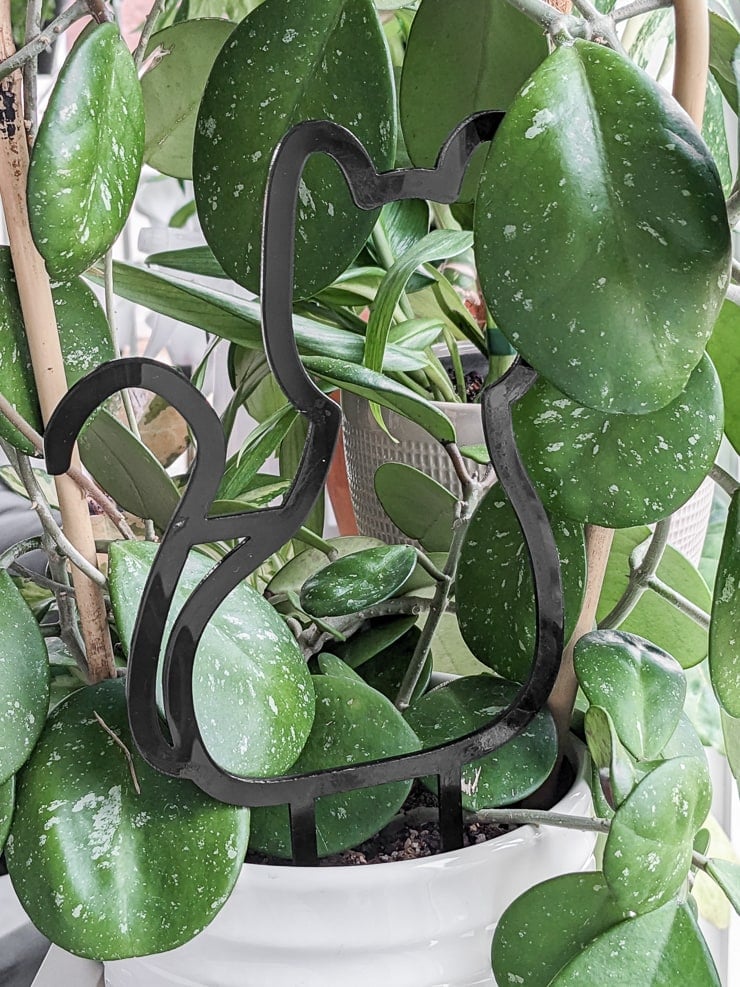 acrylic black cat houseplant trellis