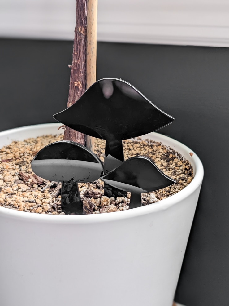 black acrylic mushroom plant stakes