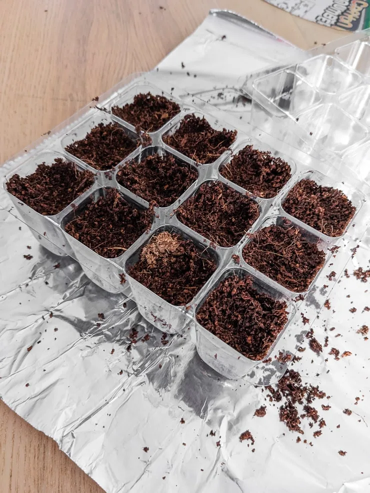 planting in a seed starting tray
