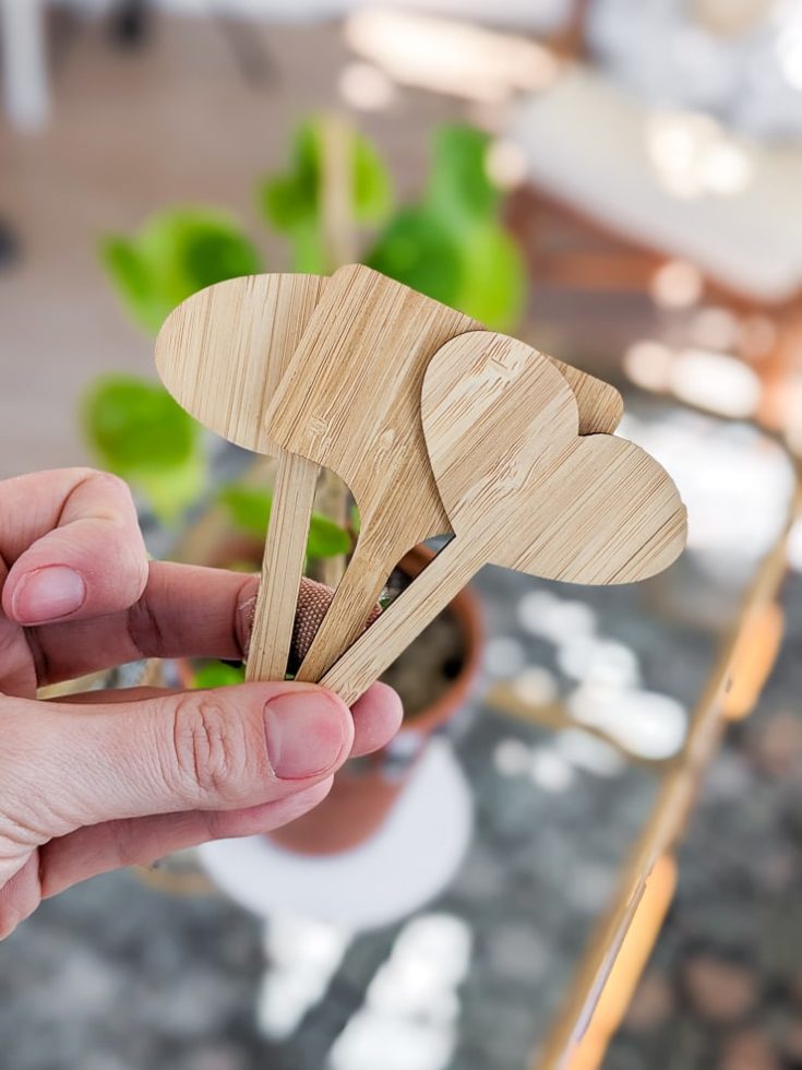 How to make laserengraved bamboo plant stakes with an xTool M1