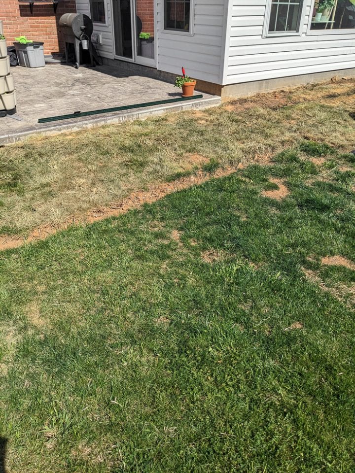 Vinegar weed and grass killer...yes, it definitely works!