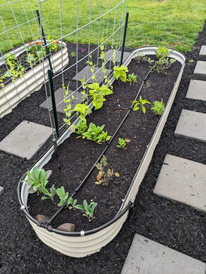 How to set up a DIY solarpowered rain barrel irrigation system!