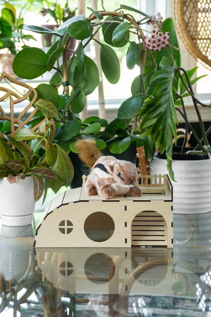 5 laser cutter hidey houses in different sizes for all small animals!
