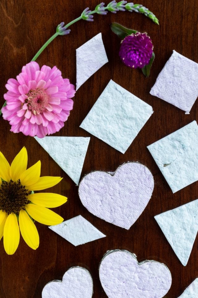 How to make seed paper that's plantable & biodegradable!