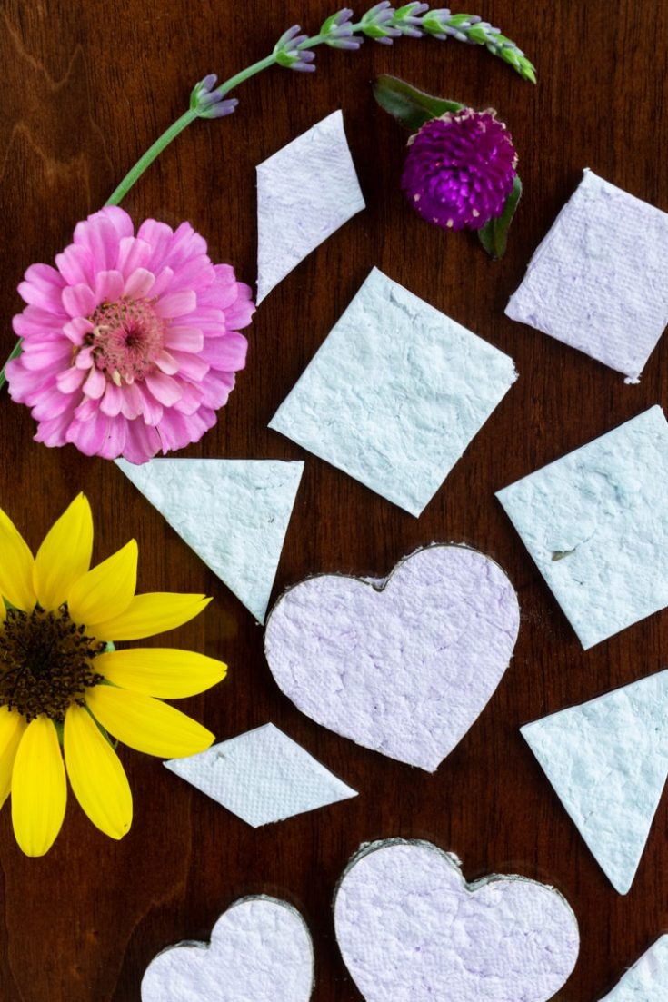 How to make seed paper that's plantable & biodegradable!