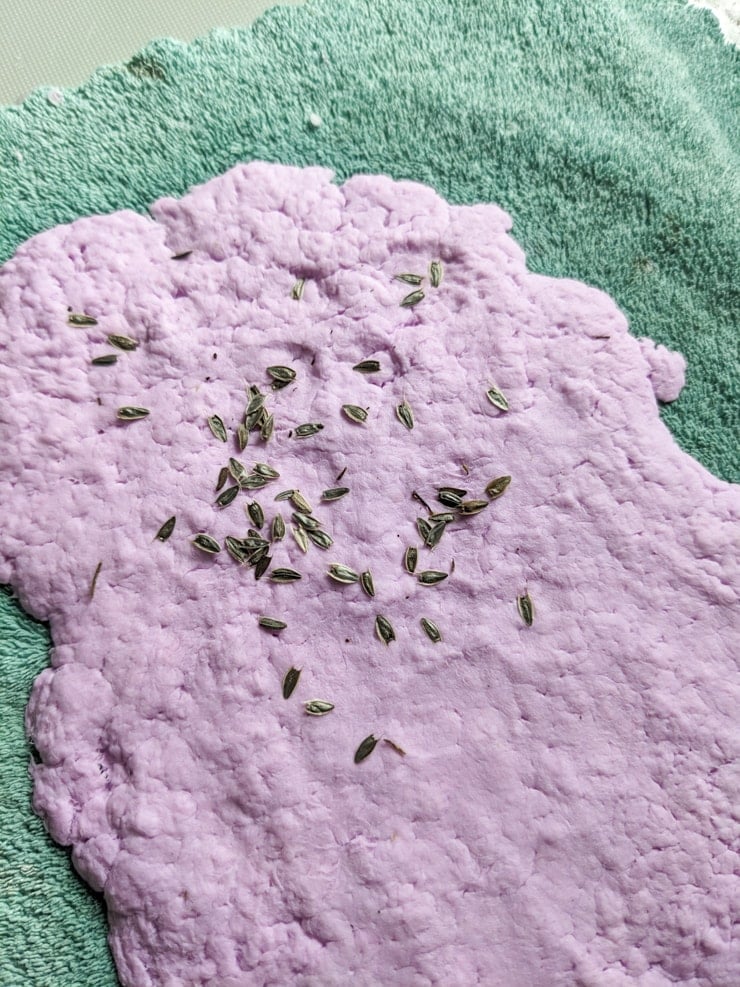 adding seeds to plantable seed paper mix