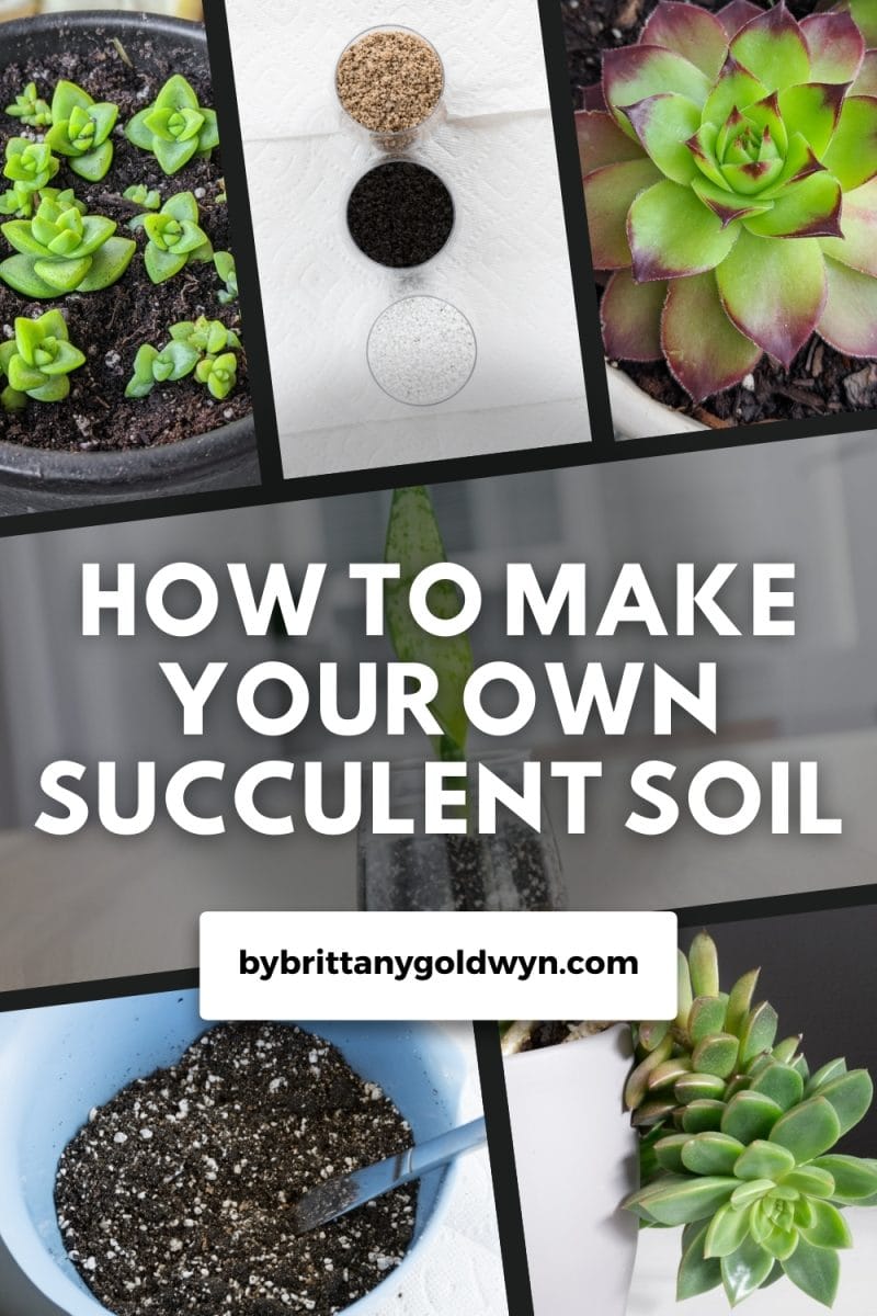 How to make your own succulent soil at home!