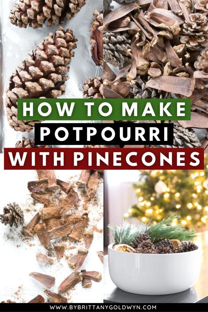 How to make holiday potpourri with pine cones!