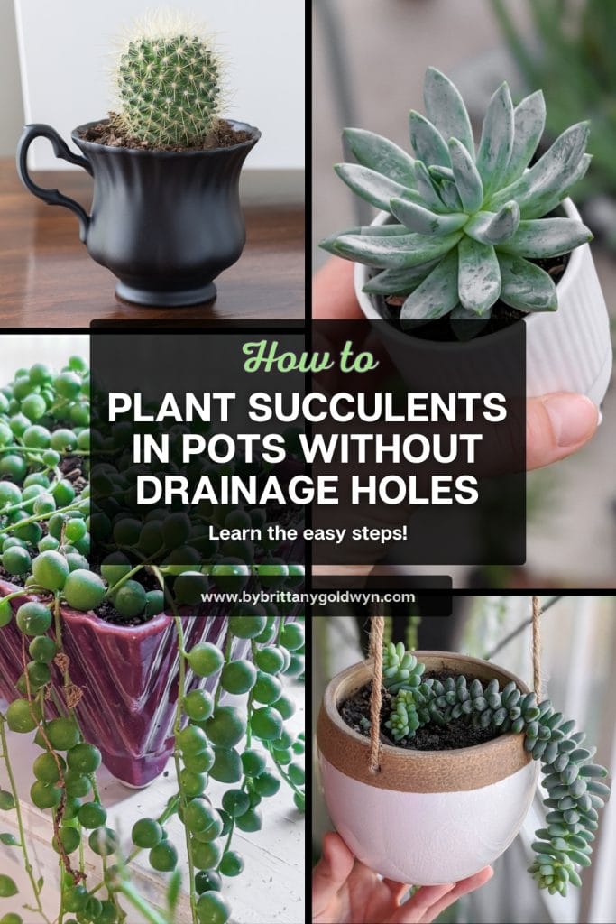 collage that says how to plant succulents in pots without drainage holes, learn the easy steps with pictures of plants