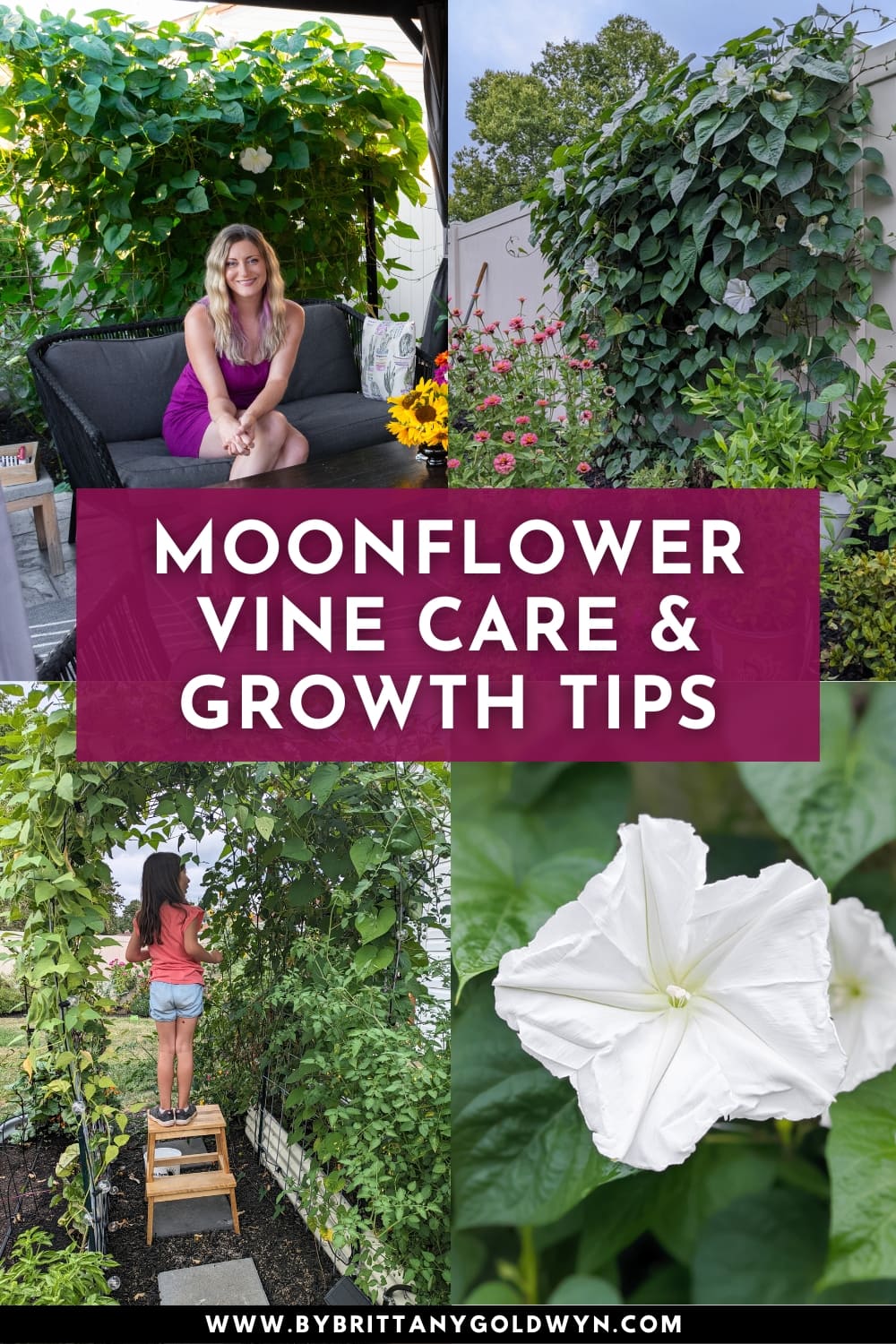 MoonflowerVinePin1 By Brittany Goldwyn Live Creatively