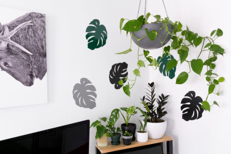 chipboard monstera leaf decor in an office