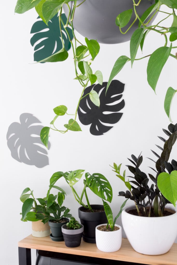chipboard monstera leaf decor in an office