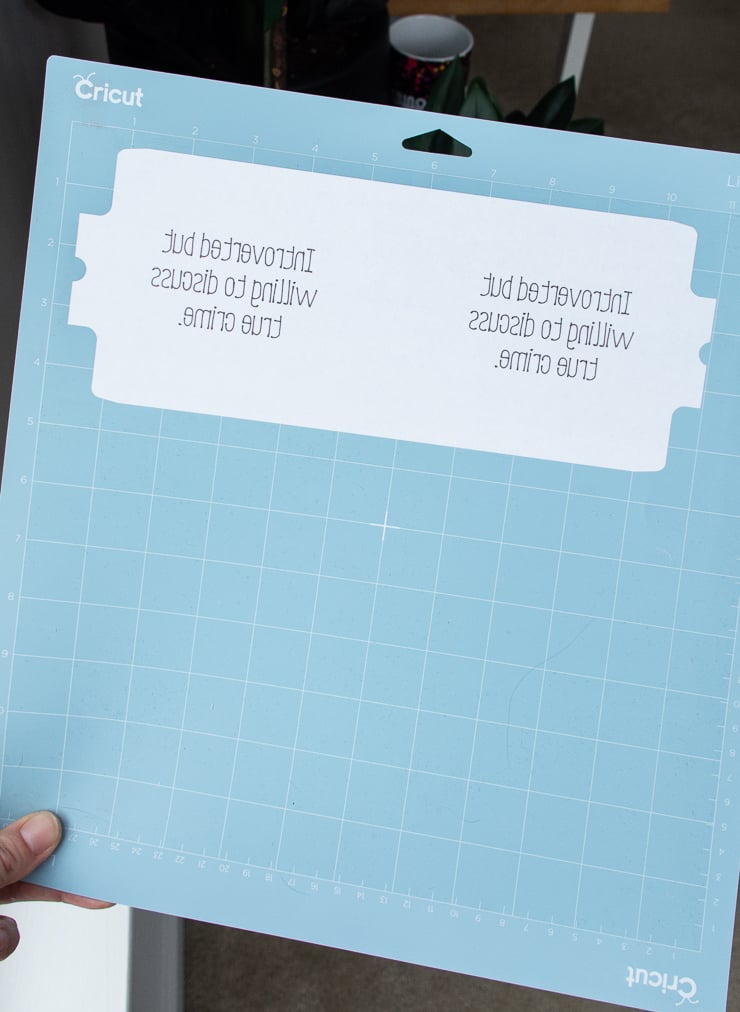 paper that says introvert but willing to discuss true crime backwards