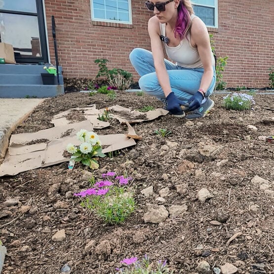 sheet mulching