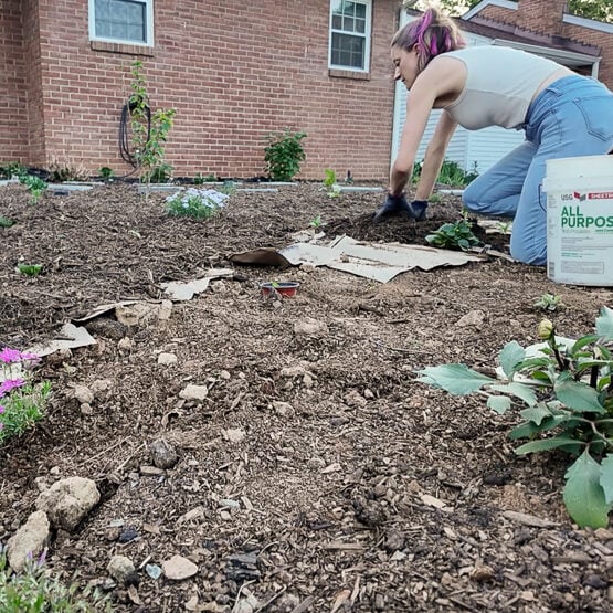 sheet mulching
