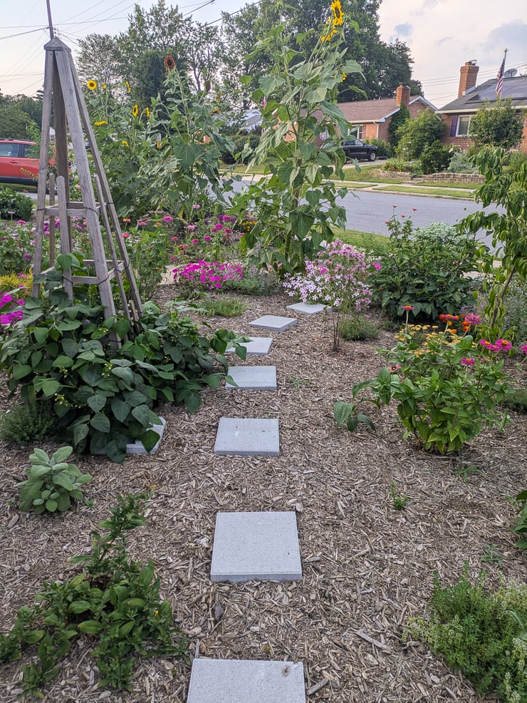path in a front garden